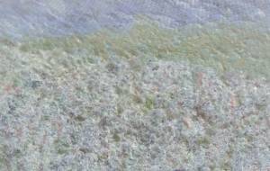 白靄の蕎麦畑 - 久保田 俊