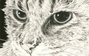 絶望〜ササミもう無いの? - 山田貴裕