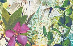 デジタル押し花が彩る不思議な世界 - 今脇健太