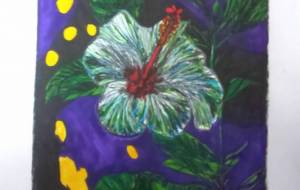 ハイビスカス - 愛男