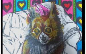 僕の愛しのココアちゃん。 - 愛男