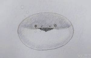 サカバンバスピス - Flade