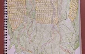 とうもろこし - まる