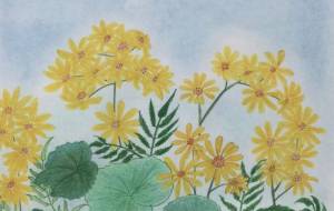 つわぶきの花 - 赤﨑ゆみ子