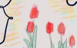 チューリップ - とん