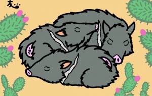 クビワペッカリー - シマハイエナ