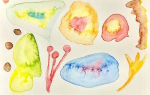 いのちを持ったものたち - MIRI