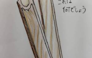 What’s this ? - エリーゼ