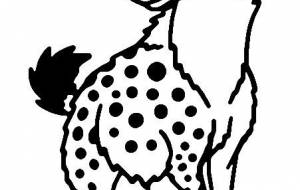 ブチハイエナ - シマハイエナ