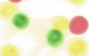 まるいっぱい! - naomi