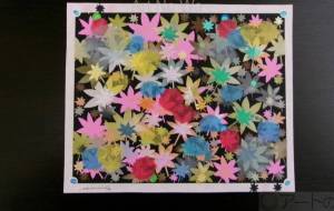 夢想もみじ 久 - 明紅葉