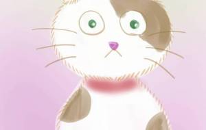 猫だるま - 神楽月すう