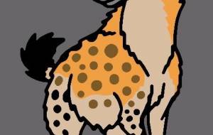 ブチハイエナ - シマハイエナ