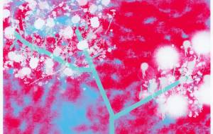 カスミソウ - 平井雄也(工房はんど)