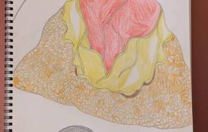 おむらいす - まる