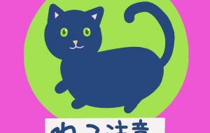 私的看板 猫注意 - ちろ