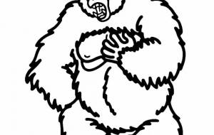 ニシローランドゴリラ - シマハイエナ