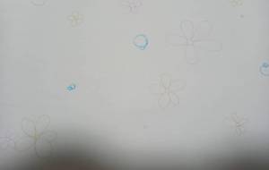 花が降る - 時雨