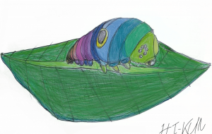 しあわせのGOT - 聖羽SEIHA