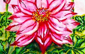 蓮 絵ハガ 2 - さとみ