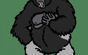 ニシローランドゴリラ - シマハイエナ