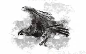 ミサゴ - ヒカル