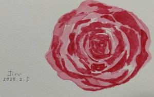 がんばった薔薇 - ジル