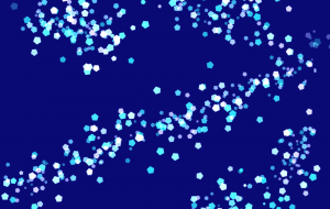 夜空 - エリー