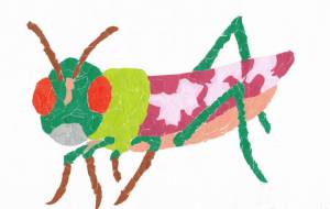 トノサマバッタ - もぐちゃん