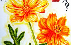 キバナコスモス - さとみ