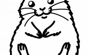 ジャンガリアンハムスター - シマハイエナ