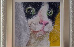 はちわれ - 猫玉