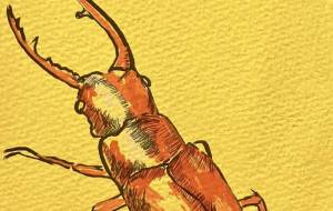 虫 2 - ミズノイヨ