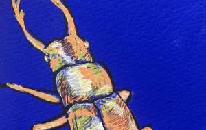 虫 3 - ミズノイヨ