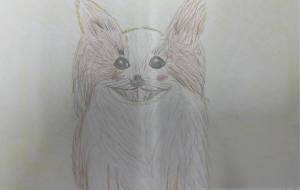 こいぬのうーちゃん - marina♡