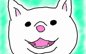 秋田犬(白毛) - 華凪