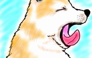 おおあくび - 華凪