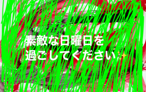 素敵な日曜日を - 笹谷正博 