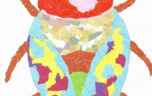 カラフルなセミ - もぐちゃん