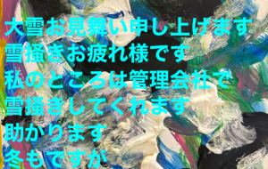 大雪お見舞い申し上げます - 笹谷正博