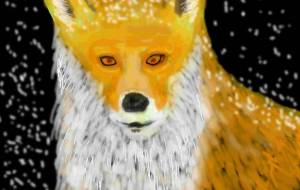 雪降る夜 - 小雪0219