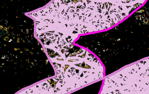 舞う21 - 沖野ゆうき