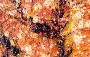 梅の木 - 久保田 俊