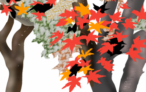 京の四季 秋 - かずもがな