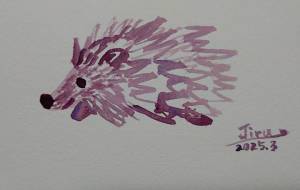 ハリネズミ - ジル