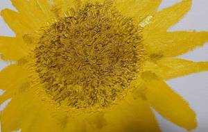 向日葵と種 - ジル