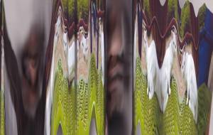 スキャナーディストーション3 - BOBOMIND