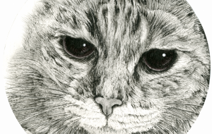 のぞき穴 - 山田貴裕