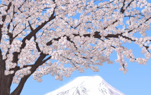 旅の思い出 - 桜雪