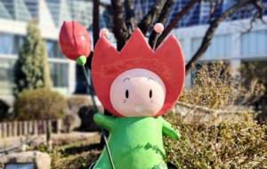 今も人気者 - トイロ